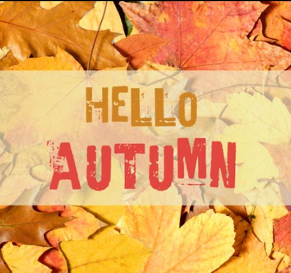 Autumn leaves in shades of yellow, orange, and red cover the background. In the center, a translucent rectangle displays the text HELLO AUTUMN in bold brown and red letters.