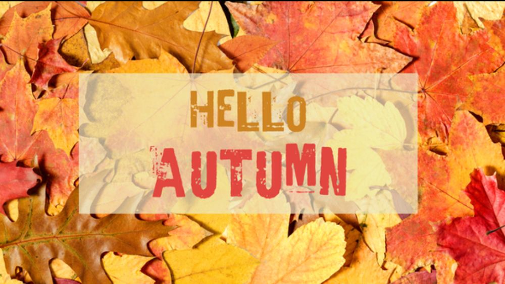 Autumn leaves in shades of yellow, orange, and red cover the background. In the center, a translucent rectangle displays the text HELLO AUTUMN in bold brown and red letters.