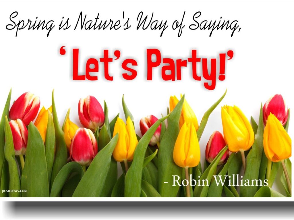 A row of red and yellow tulips with the quote: Spring is Nature’s Way of Saying, Let’s Party! in large text above, attributed to Robin Williams.